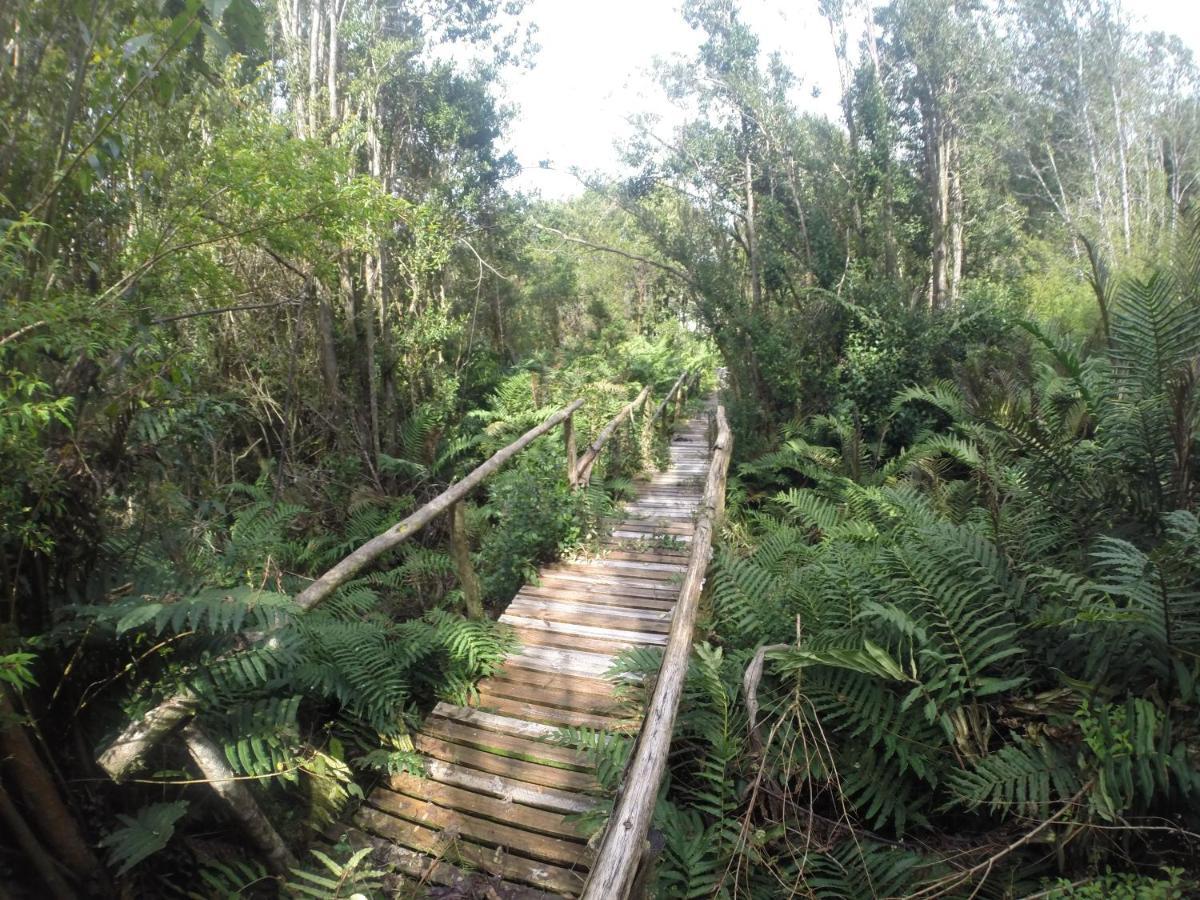 Апартаменты Turismo Del Bosque Кастро Экстерьер фото